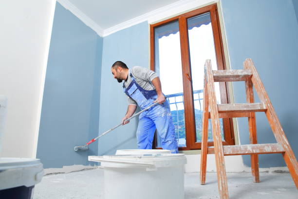 Best Drywall Removal and Disposal  in USA